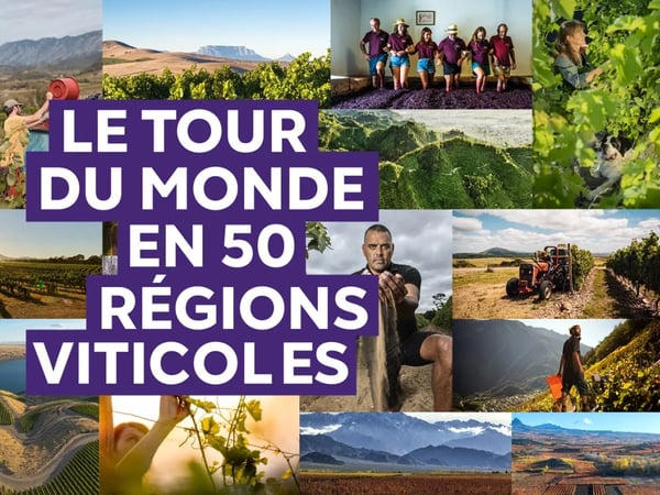 Le tour du monde en 50 régions viticoles