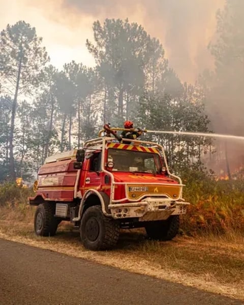 Forêt et incendies en Sud Gironde