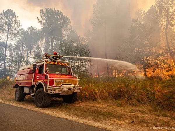 Forêt et incendies en Sud Gironde