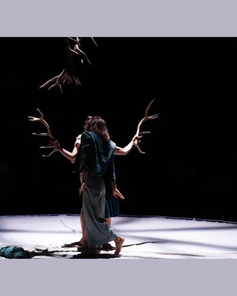 Libertivore, Faune