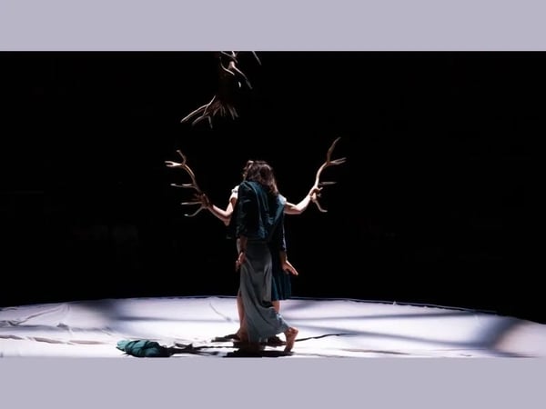 Libertivore, Faune