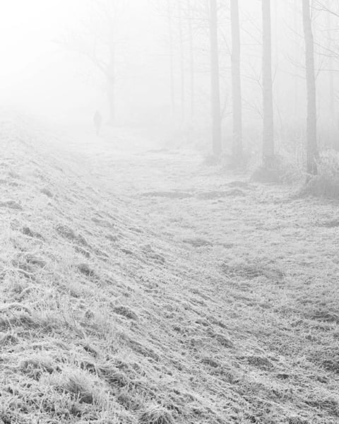 La Brume, Florian Boué