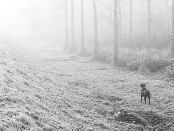 La Brume, Florian Boué
