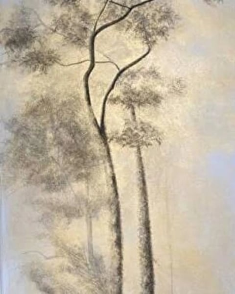 Ombres blanches, lumières d’or, Cathy Schein