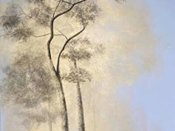 Ombres blanches, lumières d’or, Cathy Schein