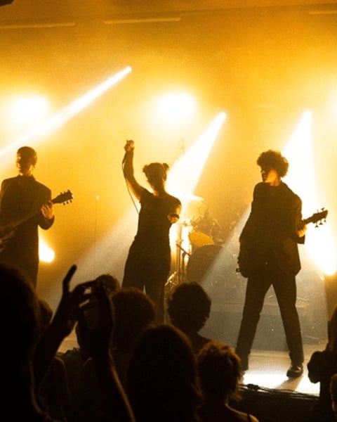 Tremplin Pulsations, demi-finale nationale