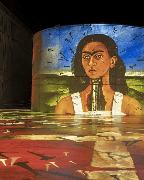 Matisse / Frida Kahlo